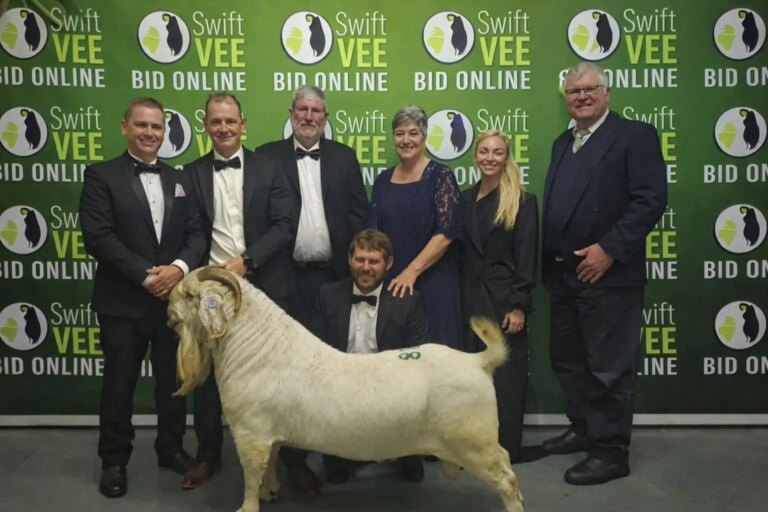 New world record price and top South African small stock price