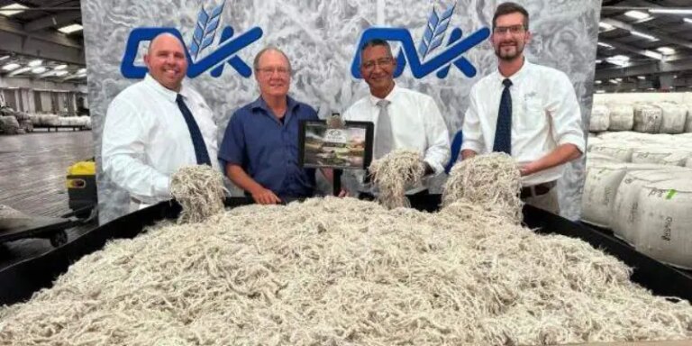 World record price for mohair – twice in one day!