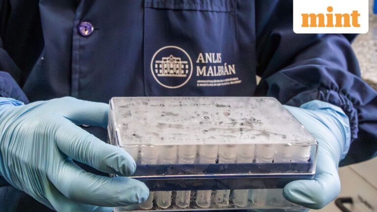 Hantavirus outbreak on luxury cruise ship: 3 dead, critical cases in South Africa as infection reaches Switzerland Hantavirus outbreak on luxury cruise ship: 3 dead, critical cases