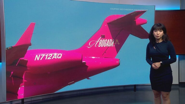 Pink jets and luxury condos: Former clients question Alexandra Lozano's