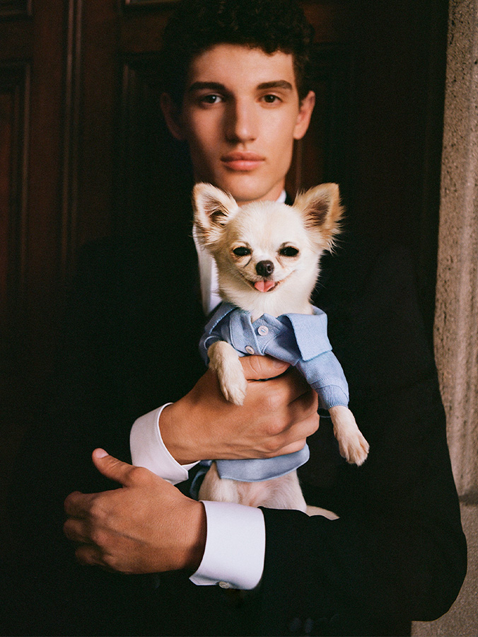 The 10 Most Jaw-Dropping Items the Ultra-Rich Buy Their Pets · Kinship The 10 Most Jaw Dropping Items the Ultra Rich Buy Their Pets