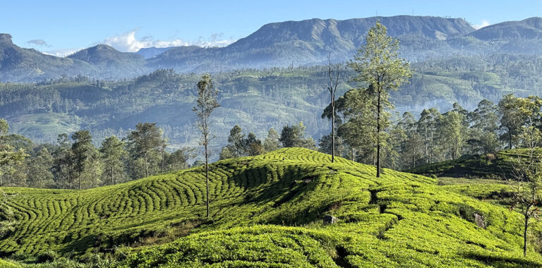 Walk into Luxury introduces journeys through Sri Lanka Walk into Luxury introduces journeys through Sri Lanka