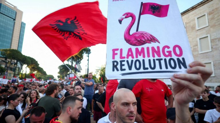 Why are flamingos leading protests in Albania against Jared Kushner's
