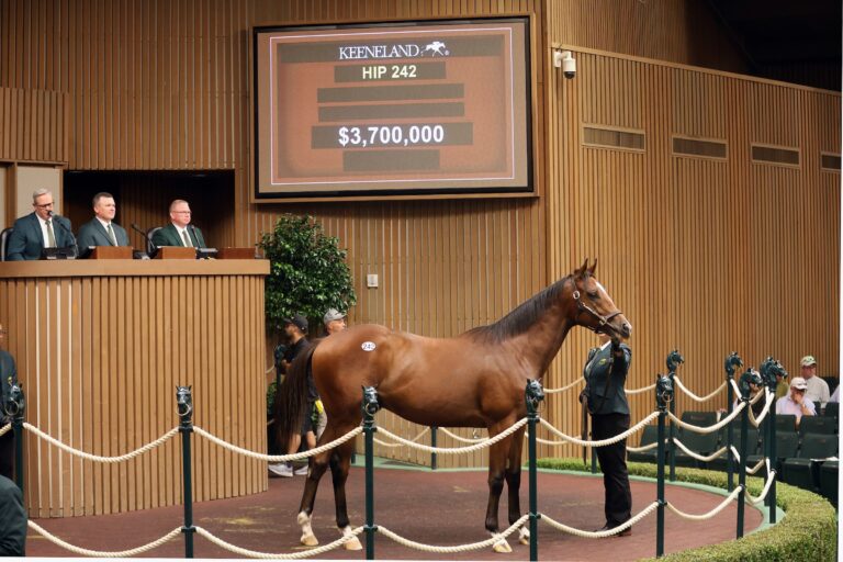 Keeneland September sale sets world record with $536.7M